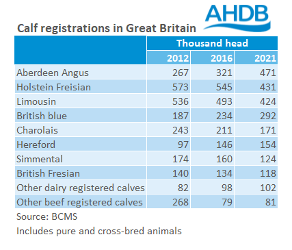 Table showing the more popular cattle breeds in 2012, 2016 and 2021